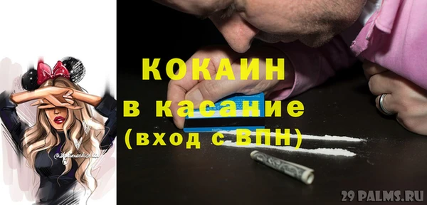 молекула духа Богданович