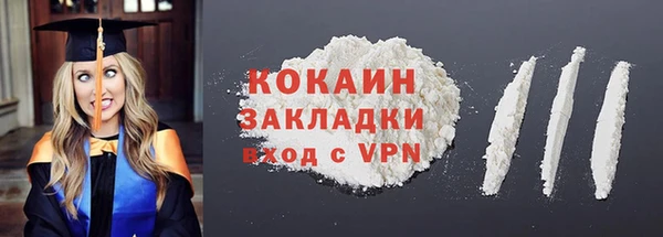 молекула духа Богданович