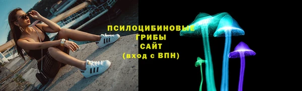 молекула духа Богданович