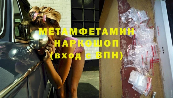 молекула духа Богданович