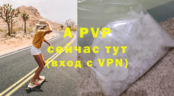 молекула духа Богданович
