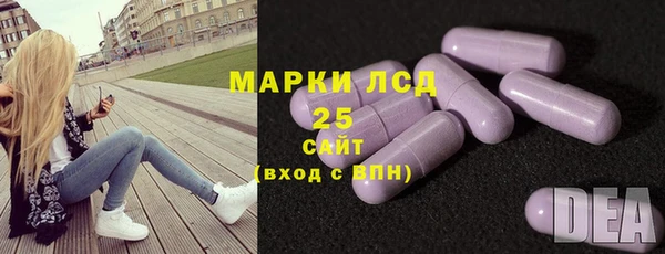 молекула духа Богданович