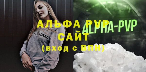 молекула духа Богданович