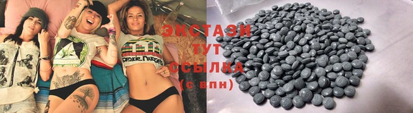 молекула духа Богданович