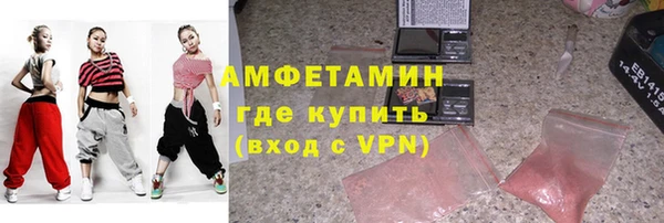 молекула духа Богданович