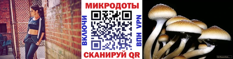 ссылка на мегу ТОР  shop официальный сайт  Галлюциногенные грибы Psilocybine cubensis  Любань 
